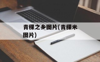 青稞之乡图片(青稞米图片)
