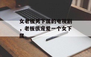 女老板男下属的电视剧，老板很宠爱一个女下属