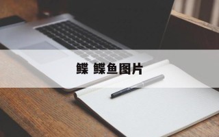 鲽 鲽鱼图片