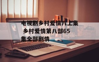 电视剧乡村爱情八上集 乡村爱情第八部65集全部剧情