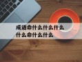 成语命什么什么什么 什么命什么什么
