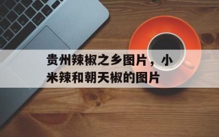 贵州辣椒之乡图片，小米辣和朝天椒的图片