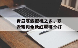 青岛寒露蜜桃之乡，寒露蜜和金秋红蜜哪个好