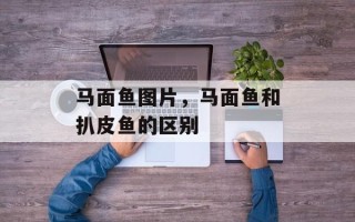 马面鱼图片，马面鱼和扒皮鱼的区别