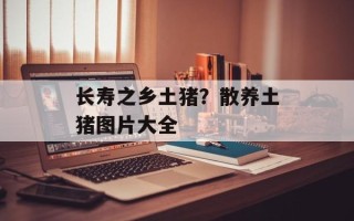 长寿之乡土猪？散养土猪图片大全