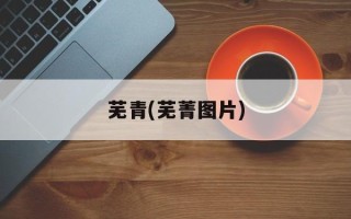 芜青(芜菁图片)