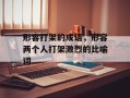 形容打架的成语，形容两个人打架激烈的比喻词