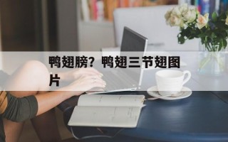 鸭翅膀？鸭翅三节翅图片