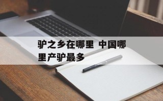 驴之乡在哪里 中国哪里产驴最多