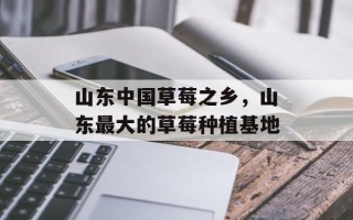 山东中国草莓之乡，山东最大的草莓种植基地