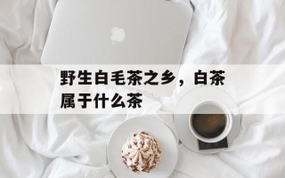 野生白毛茶之乡，白茶属于什么茶