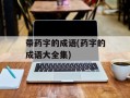 带药字的成语(药字的成语大全集)