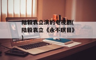 陆毅袁立演的电视剧(陆毅袁立《永不瞑目》)
