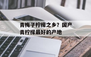 青梅子柠檬之乡？国产青柠檬最好的产地