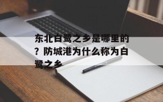 东北白鹭之乡是哪里的？防城港为什么称为白鹭之乡