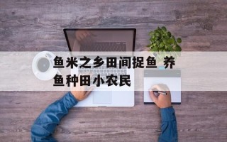 鱼米之乡田间捉鱼 养鱼种田小农民