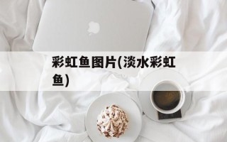 彩虹鱼图片(淡水彩虹鱼)