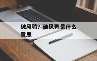 破风鸭？破风鸭是什么意思