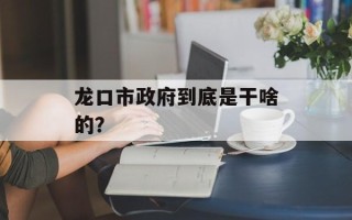 龙口市政府到底是干啥的？