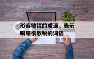 形容敏锐的成语，表示眼睛很敏锐的词语