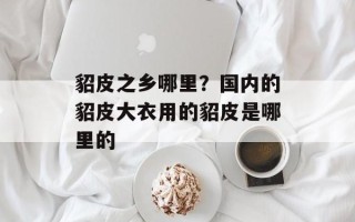 貂皮之乡哪里？国内的貂皮大衣用的貂皮是哪里的