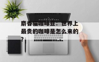 麝香猫咖啡豆：世界上最贵的咖啡是怎么来的？