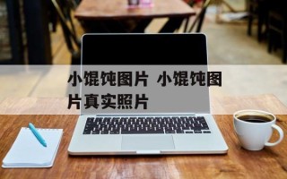 小馄饨图片 小馄饨图片真实照片
