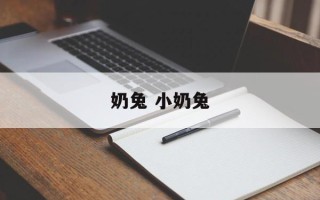 奶兔 小奶兔