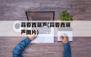 蒜蓉西葫芦(蒜蓉西葫芦图片)