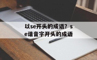 以se开头的成语？se谐音字开头的成语