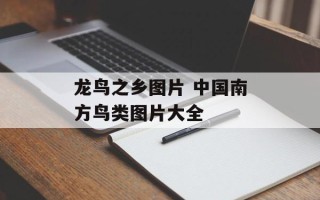 龙鸟之乡图片 中国南方鸟类图片大全