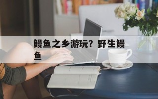 鳗鱼之乡游玩？野生鳗鱼