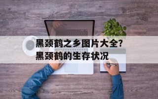黑颈鹤之乡图片大全？黑颈鹤的生存状况