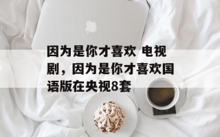 因为是你才喜欢 电视剧，因为是你才喜欢国语版在央视8套