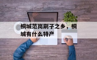 桐城范岗刷子之乡，桐城有什么特产