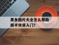 黑鱼图片大全怎么帮助新手快速入门？