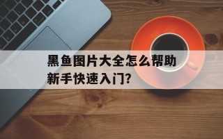 黑鱼图片大全怎么帮助新手快速入门？