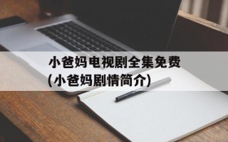 小爸妈电视剧全集免费(小爸妈剧情简介)