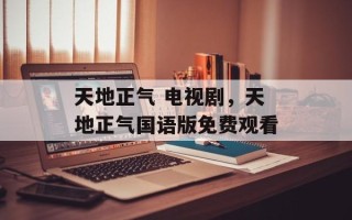 天地正气 电视剧，天地正气国语版免费观看