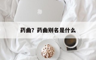 药曲？药曲别名是什么