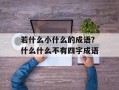 若什么小什么的成语？什么什么不有四字成语