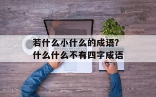 若什么小什么的成语？什么什么不有四字成语