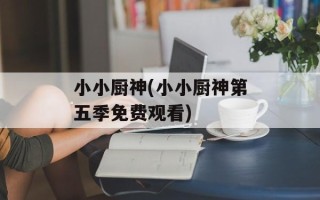 小小厨神(小小厨神第五季免费观看)
