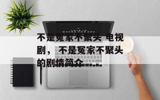 不是冤家不聚头 电视剧， 不是冤家不聚头的剧情简介