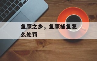 鱼鹰之乡，鱼鹰捕鱼怎么处罚