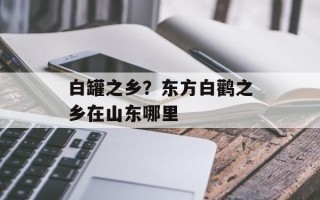 白罐之乡？东方白鹳之乡在山东哪里
