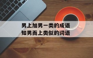 男上加男一类的成语 知男而上类似的词语