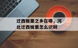 迁西板栗之乡在哪，河北迁西板栗怎么识别