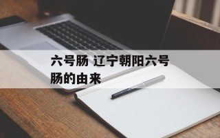 六号肠 辽宁朝阳六号肠的由来