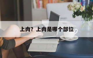 上肉？上肉是哪个部位